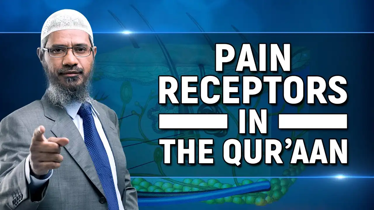 Pain Receptors In The Quran - Dr Zakir Naik 13 pain receptors in the quran - dr zakir naik