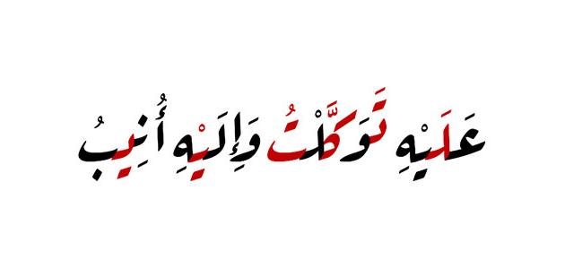 Arabic Letters And Sounds: Complete Learning Guide 17 1746636792 197 arabic letters and sounds complete learning guide