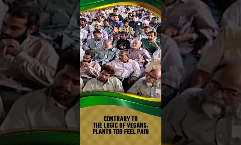 Contrary To The Logic Of Vegans, Plants Too Feel Pain - Dr Zakir Naik 13 contrary to the logic of vegans, plants too feel pain - dr zakir naik