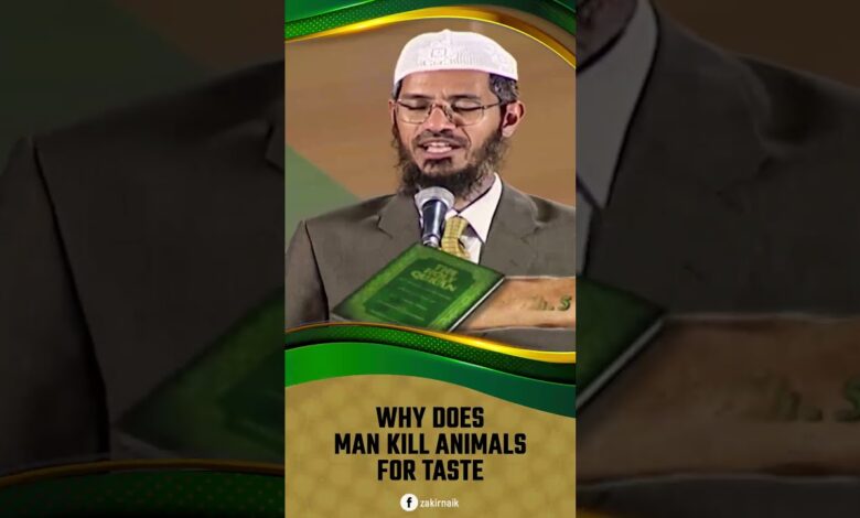 Why Does Man Kill Animals For Taste? - Dr Zakir Naik 13 why does man kill animals for taste? - dr zakir naik