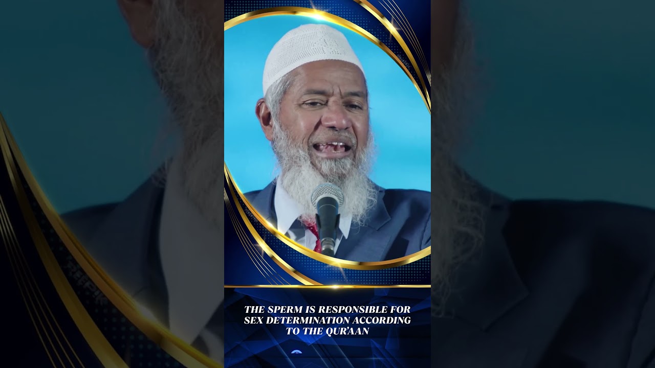 Islam Does Not Decree That Disbelievers Should Be Killed - Dr Zakir Naik 17 *