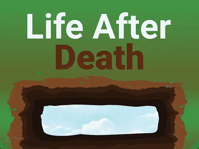 life after death infographic | facts about the muslims & the religion of islam