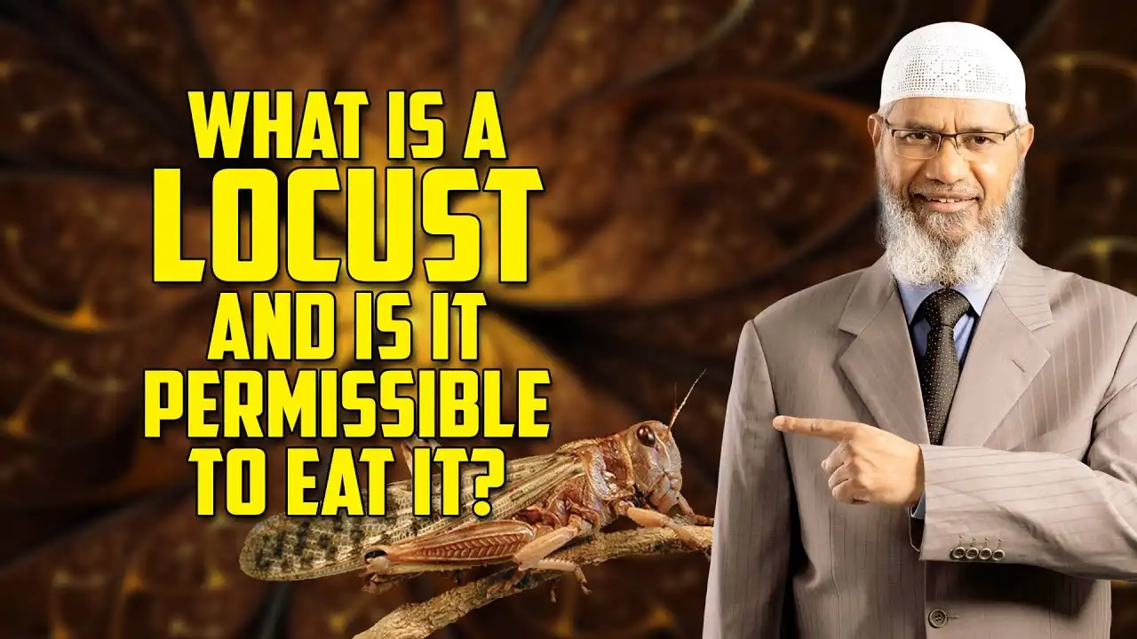 what is a locust and is it permissible to eat it? – dr zakir naik