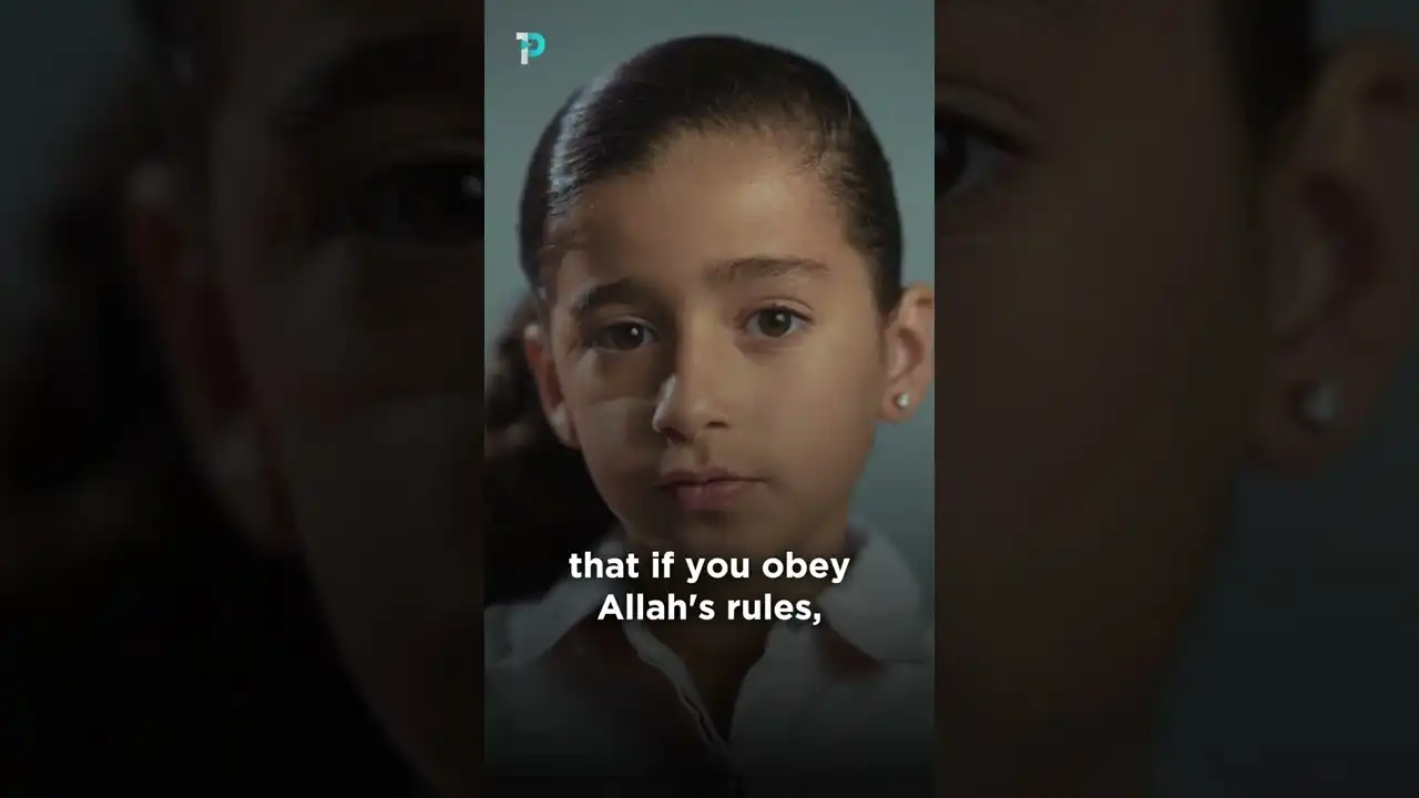 my journey reading the quran - what it means to me