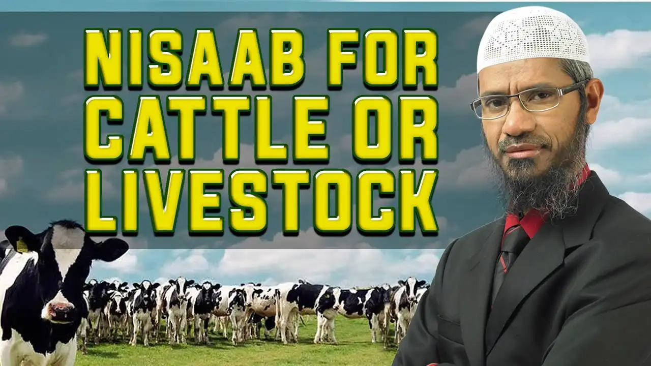 nisaab for cattle or livestock – dr zakir naik