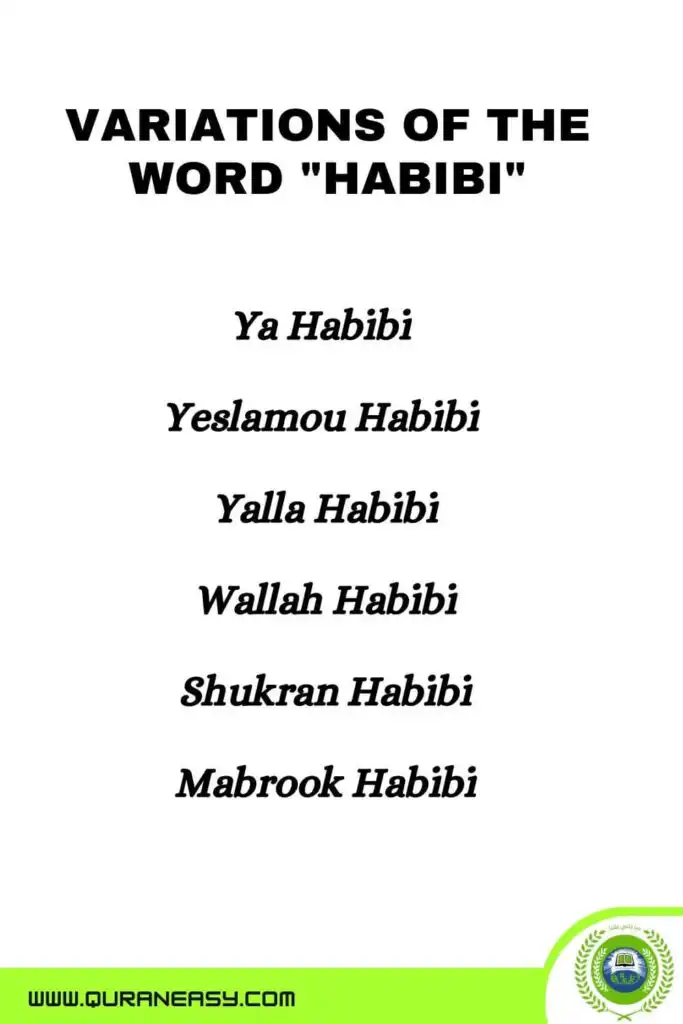 1697727411 912 yallah wallah shukran habibi