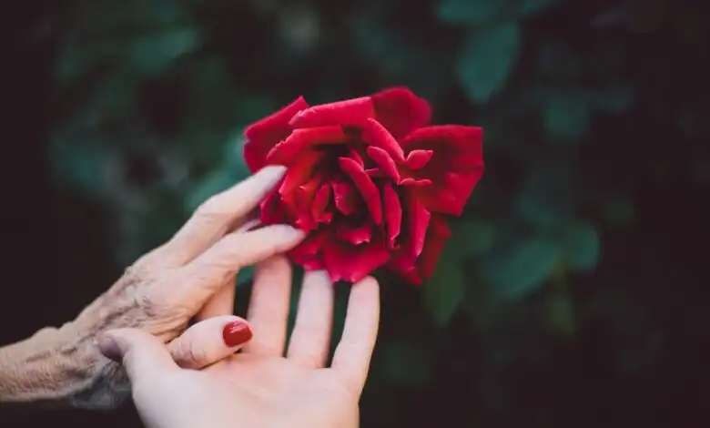 5 verses & quotes from the holy quran on love