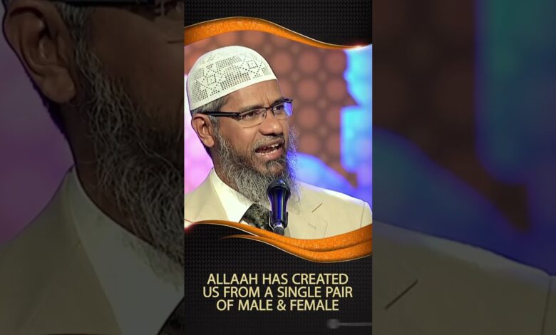 allah has created us from a single pair of male & female - dr zakir naik
