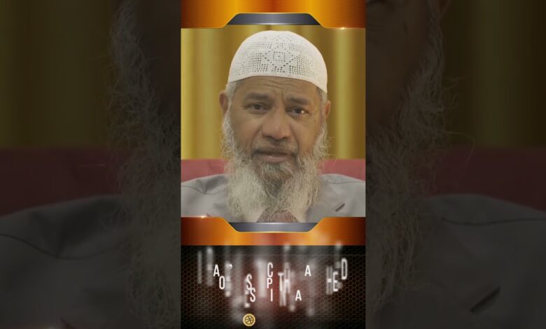 israel’s atrocities garnered global sympathy for the palestinian cause - dr zakir naik