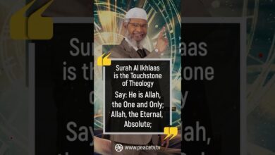 surah al ikhlaas is the touchstone of theology