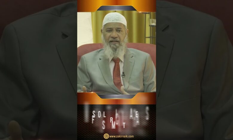 we should raise awareness of the atrocities israel is committing - dr zakir naik