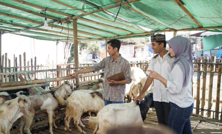 is it compulsory to sacrifice on eid al adha?