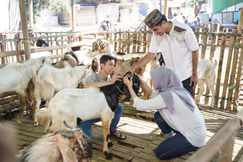 what do you sacrifice on eid al adha a complete
