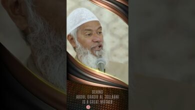behind abdul qaadir al jeelaani is a great mother - dr zakir naik