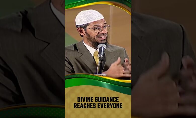 divine guidance reaches everyone - dr zakir naik