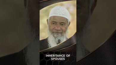 inheritance of spouses - dr zakir naik